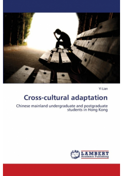 Cross-cultural adaptation