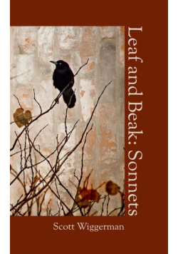 Leaf and Beak