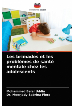 Les brimades et les problèmes de santé mentale chez les adolescents