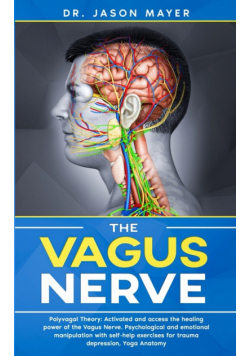 The Vagus Nerve