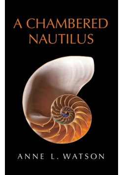 A Chambered Nautilus