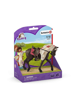 Pokaz koni - klacz Rocky Mountain Horse