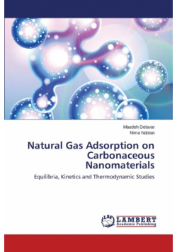 Natural Gas Adsorption on Carbonaceous Nanomaterials