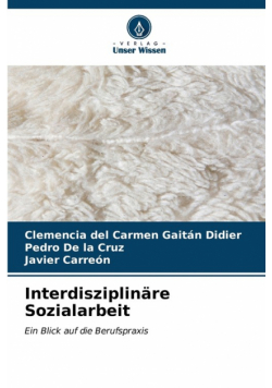 Interdisziplinäre Sozialarbeit