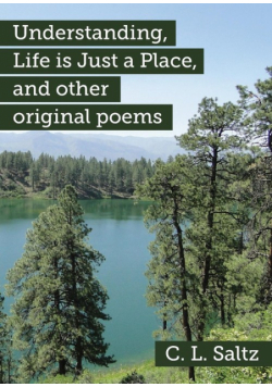 Understanding, Life is Just a Place, and other original poems