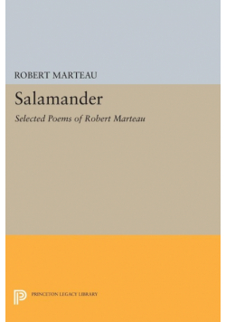Salamander