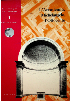 L accademia Michelangelo L Ottocento