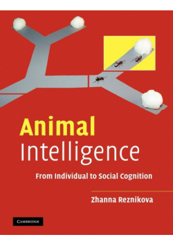 Animal Intelligence