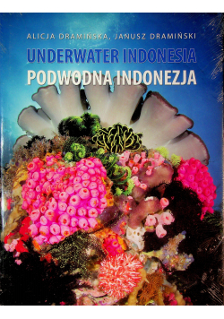 Underwater Indonesia Podwodna Indonezja