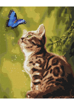 Malowanie po numerach - Tajemniczy Motyl 40x50cm