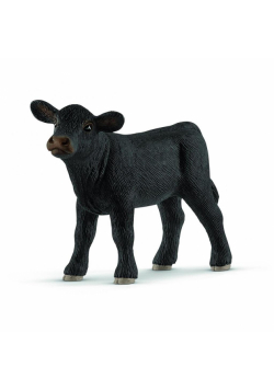 Cielę Aberdeen Angus