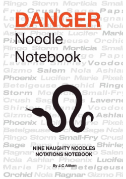 Danger noodle notebook-nine naughty noodles notations notebook