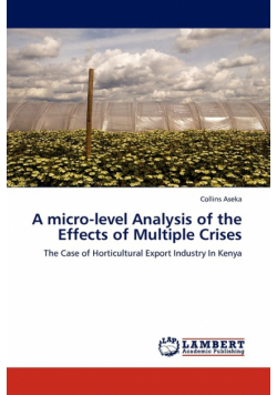 A Micro-Level Analysis of the Effects of Multiple Crises