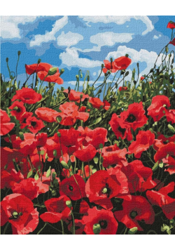 Malowanie po numerach - Niesamowite maki 40x50cm