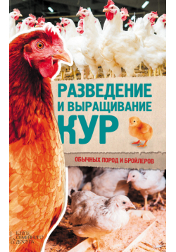 Разведение и выращивание кур обычных пород и бройлеров