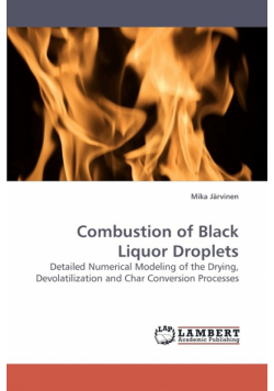 Combustion of Black Liquor Droplets