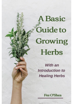 The Basic Guide To Growing Herbs