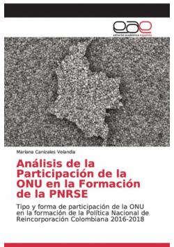 Análisis de la Participación de la ONU en la Formación de la PNRSE