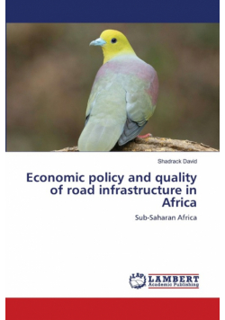 Economic policy and quality of road infrastructure in Africa