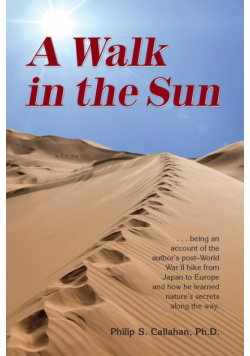 A Walk in the Sun