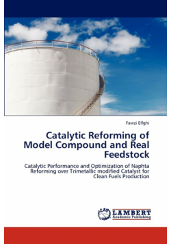 Catalytic Reforming of Model Compound and Real Feedstock