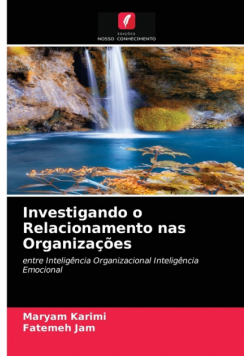 Investigando o Relacionamento nas Organizações