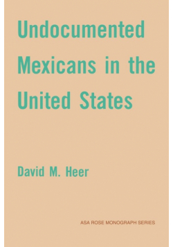 Undocumented Mexicans in the USA