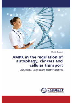 Ampk in the Regulation of Autophagy, Cancers and Cellular Transport