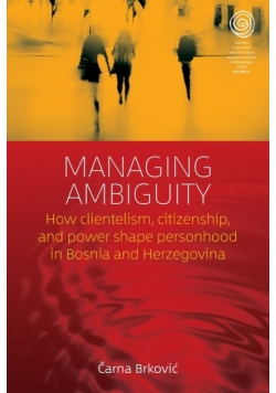 Managing Ambiguity