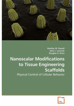Nanoscalar Modifications to Tissue Engineering Scaffolds