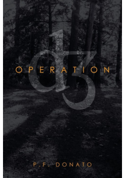 Operation D3