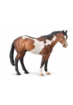 Appaloosa ogier