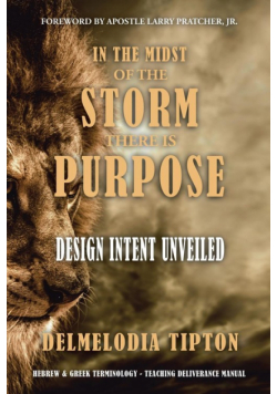 In the Midst of the Storm There Is Purpose