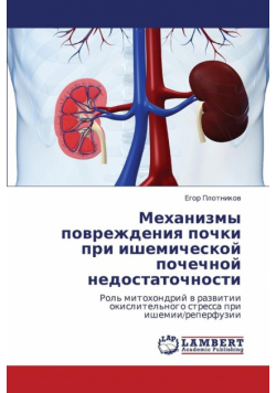Mekhanizmy Povrezhdeniya Pochki Pri Ishemicheskoy Pochechnoy Nedostatochnosti