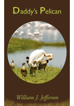 Daddy's Pelican