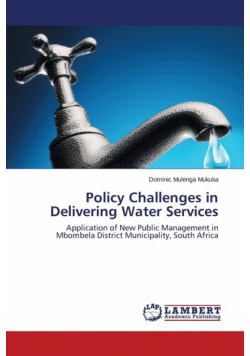Policy Challenges in Delivering Water Services