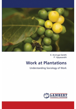 Work at Plantations