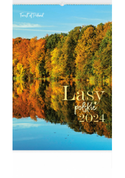 Kalendarz 2024 RW4 Lasy polskie