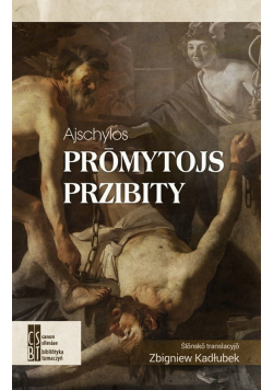 Promytojs przibity