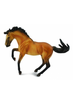Ogier Lusitano Buckskin