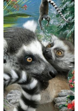 Mini kartka 3D Lemur