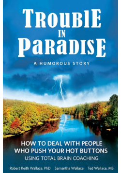 Trouble In Paradise