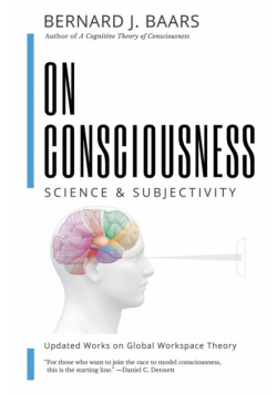 On Consciousness