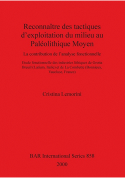 Reconnaître des tactiques d'exploitation du milieu au Paléolithique Moyen