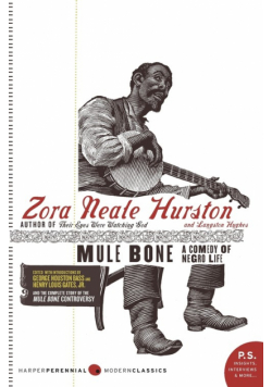 Mule Bone