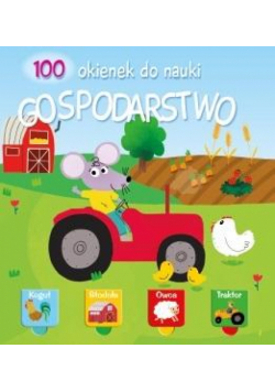 100 okienek 2 - Gospodarstwo