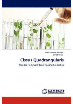 Cissus Quadrangularis