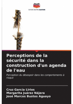 Perceptions de la sécurité dans la construction d'un agenda de l'eau