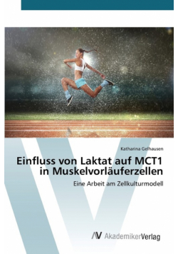 Einfluss von Laktat auf MCT1 in Muskelvorläuferzellen