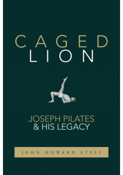 Caged Lion